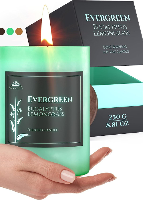 Evergreen candle